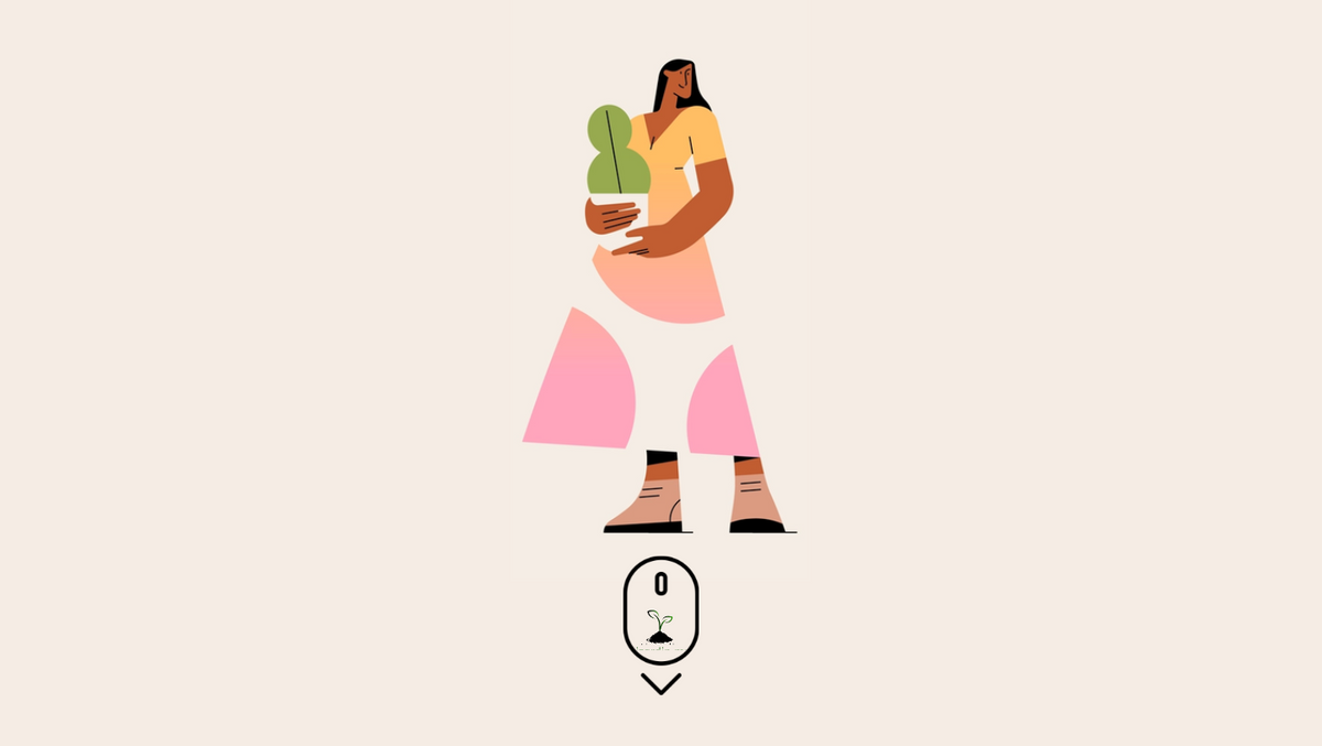 Plant nursery in Mauritius Best Online Plants Nursery In Mauritius