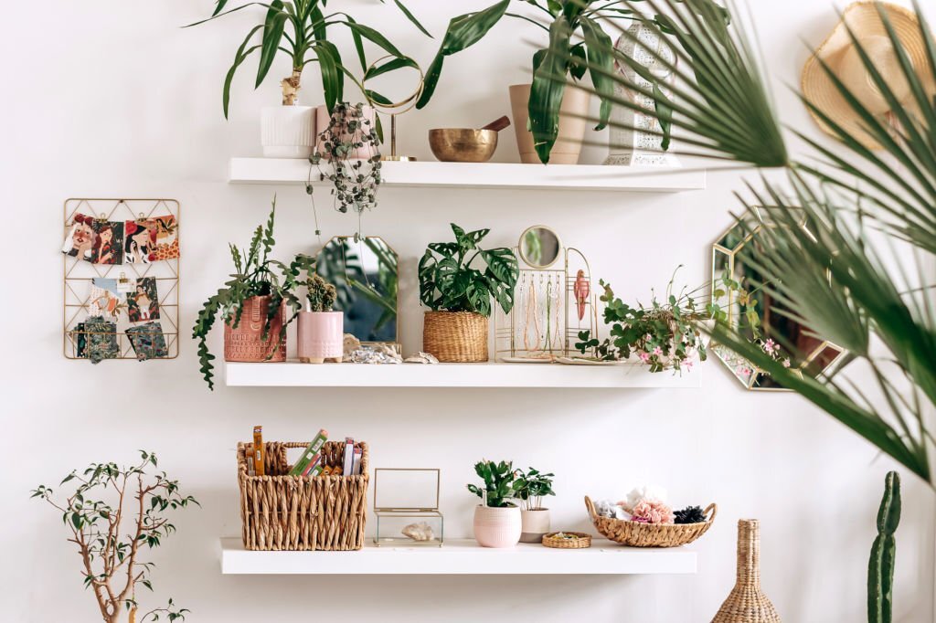 Pepiniere Mauritius Plant nursery in Mauritius tizardin