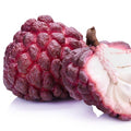 Red-Sugar_Apple_Plant_tizardin