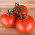 Tomato_Seeds_tizardin.mu