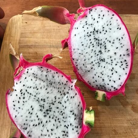 White-pitaya_tizardin