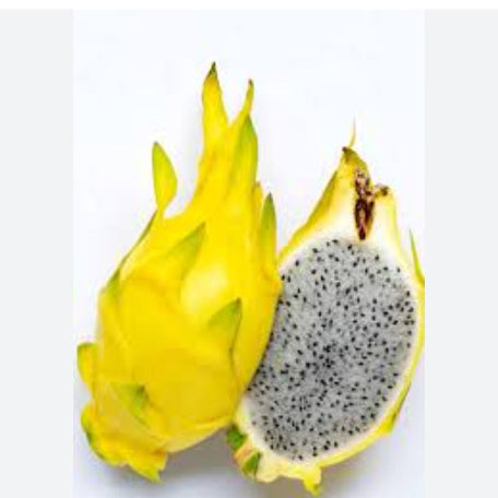 Yellow-pitaya_tizardin