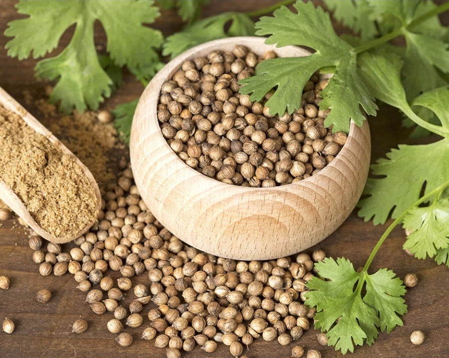 Cotomili_seeds_tizardin