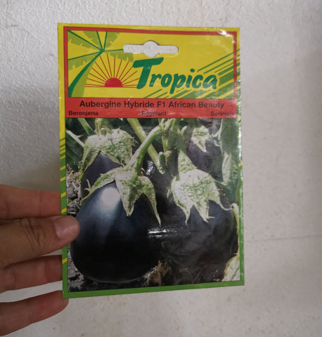 Seeds Eggplant Aubergine Seeds For Sale In Mauritius Tizardin mu Seeds Eggplant Aubergine Seeds For Sale In Mauritius Tizardin mu