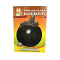 Seeds- Eggplant- Round