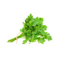 Parsley - Persil plant in Mauritius for sale at tizardin.mu as from Rs5- Buy now from your plant nursery in Mauritius aromatic plant herb 