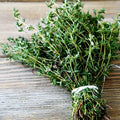 thyme tizardin.mu