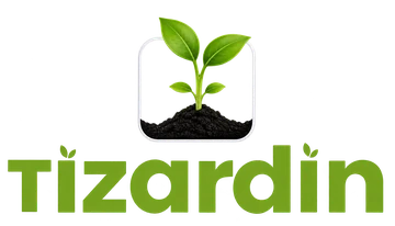 TIZARDIN
